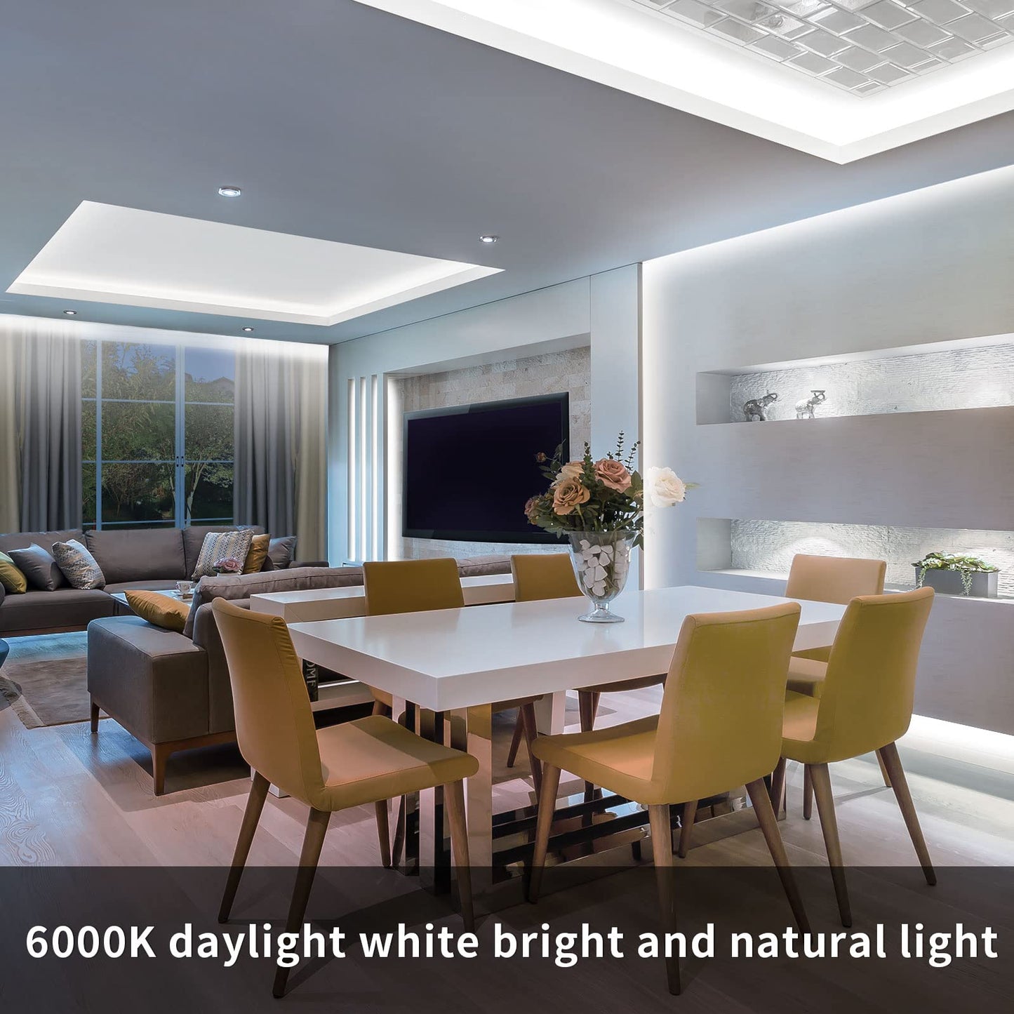 MMEEVT LED Strip 10M, 24V Weiß 6000K Dimmbar, DIY Neon Strip mit Stromversorgung, IP67 Wasserdichter Outdoor LED Strip für Innen- und Außendekoration (Weiß-10M)